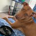 Thelma Evans - Facebook