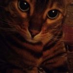 Thelma Fairbairn - @thelmafairbairn - Instagram