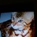 Thelma Fairbairn - Facebook