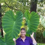 Thelma Ford - @thelma.ford.5030 - Instagram
