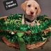 Thelma Fox - Facebook