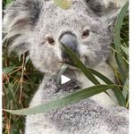 Thelma Fox Mc Fadden - @thelma_foxmcfadden - Instagram