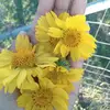 Thelma_Gee27 - @thelma_gee27 - TikTok