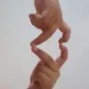 Thelma Herrera - @thelmaherrera22 - TikTok
