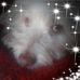 Thelma Mcqueen - Facebook