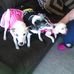 Thelma Pierce - Facebook