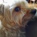 Thelma Potter - Facebook