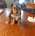 Thelma Pratt - Facebook