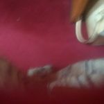 @thelmarogers6290 - Instagram