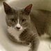 Thelma Rowe - Facebook