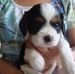 Thelma Stuart - Facebook