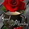 Thelma Sutton - @thelmasutton_7284 - TikTok