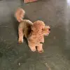 Thelma Trejos - @thelma.trejos6 - TikTok