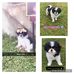 Thelma Walker - Facebook