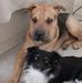 Thelma Wesley - Facebook