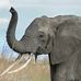 Thelma Willis - Facebook