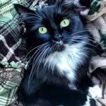 Thelma Mittens Osborne-Wise - @thelmamittens - Instagram