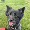 Thelma Dewolfe - @thelma.dewolfe - TikTok