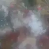 Them Bui - @them.bui21 - TikTok