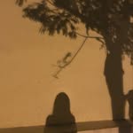 Thêm Nguyễn - @xemxem519 - Instagram