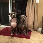 Zeus And Athena Jones - @zeus_and_athena_jones - Instagram
