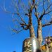 Theng Lee - Facebook