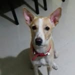 Theo Antony - @theoantony - Instagram