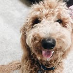 Theo Archer - @theodorable.xo - Instagram