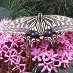 Theo Arnold - @theo.arnold.509 - Instagram