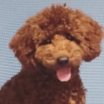 Theo Ball🧸 - @_theothepoo_ - Instagram