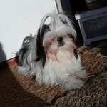 @theoball__ - Instagram