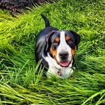 Theo Barlow - Facebook