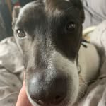 TheoB - @theo.barry05 - Instagram
