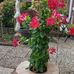 Theo Beck - Facebook