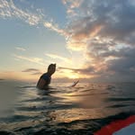 Theo - @theo__berger - Instagram