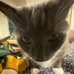 Theo Davis - Facebook