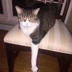 Theo R Haley 😾 - @theo_haley - Instagram