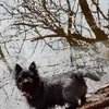 teun - @theokeller8 - TikTok