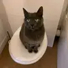 Théo_ZBR - @theokeller7 - TikTok