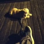 Theo Lozano - @theolozano - Instagram