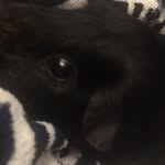 Theo Malone - @cutie_theo_34 - Instagram