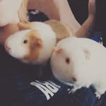 theo_miles - @theo_nmiles - Instagram