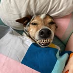 Theo Murray - @theomurray37 - Instagram