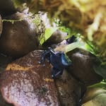Theo Murray-Allison - @tmphotography_1 - Instagram