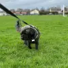 Theo - @theo.powell - TikTok