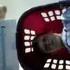 Theopowell - @theopowell - TikTok
