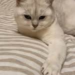Theo Miao - @theosweet1995 - Instagram