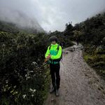 Theo Fitzgerald White - @theowhite04 - Instagram