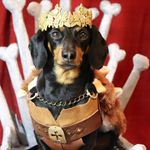 Theo Wilkinson - @theowatbra - Instagram