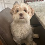Theodore adkins - @theoadkins22 - Instagram